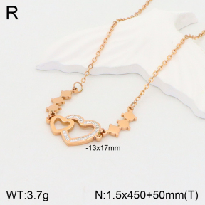 2N4003085vbnb-747  Stainless Steel Necklace