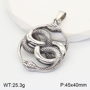 2P2002970bbov-260  Stainless Steel Pendant