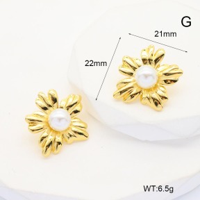 6E3002596baka-G038  Stainless Steel Earrings