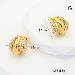 6E4004385vbpb-G038  Stainless Steel Earrings