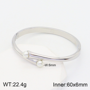 2BA300330vhhl-434  Stainless Steel Bangle