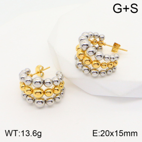 2E2004443vbnl-434  Stainless Steel Earrings