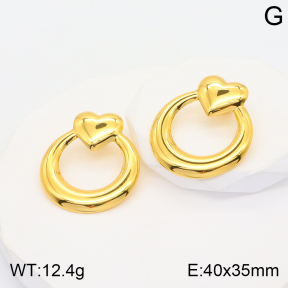 2E2004445aakl-434  Stainless Steel Earrings