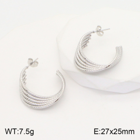 2E2004452vaii-740  Stainless Steel Earrings