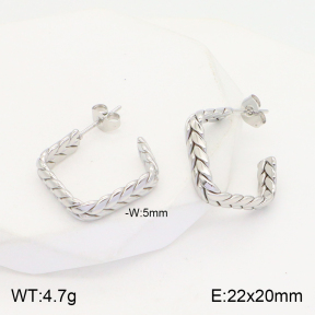 2E2004454vaia-740  Stainless Steel Earrings