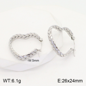 2E2004455vaia-740  Stainless Steel Earrings