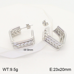 2E2004456vaii-740  Stainless Steel Earrings