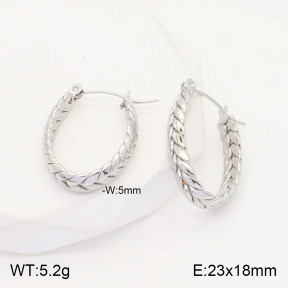 2E2004457vaia-740  Stainless Steel Earrings