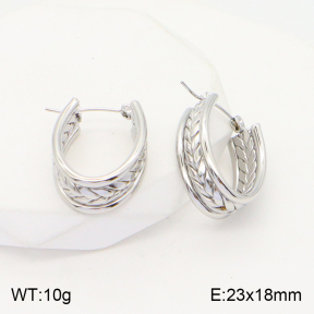 2E2004459vaii-740  Stainless Steel Earrings