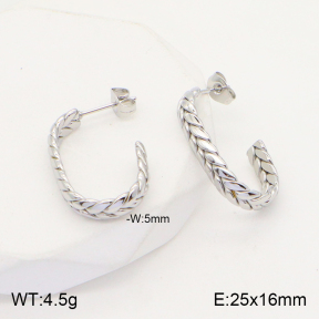 2E2004461vaia-740  Stainless Steel Earrings