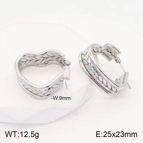 2E2004462vaii-740  Stainless Steel Earrings