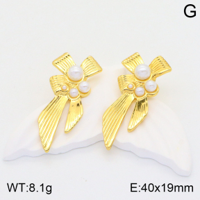 2E3002591vbnb-434  Stainless Steel Earrings