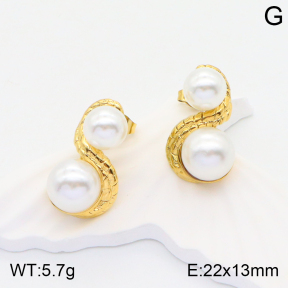 2E3002595vbnl-434  Stainless Steel Earrings