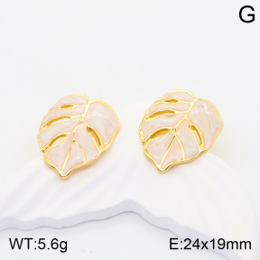 2E3002598bbml-434  Stainless Steel Earrings