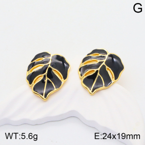 2E3002599bbml-434  Stainless Steel Earrings