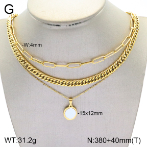 2N3001871vhkb-749  Stainless Steel Necklace