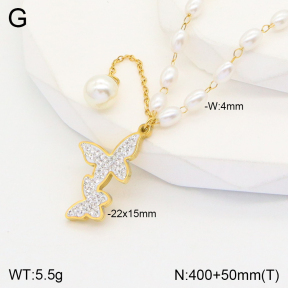 2N3001876bhia-749  Stainless Steel Necklace