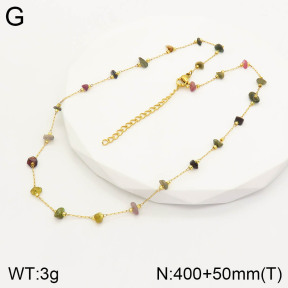 2N4003069abol-389  Stainless Steel Necklace