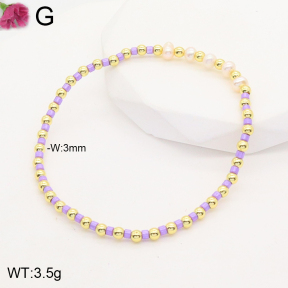 F2B300828abol-J128  Fashion Bracelet