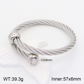 2BA201365ablb-387  Stainless Steel Bangle