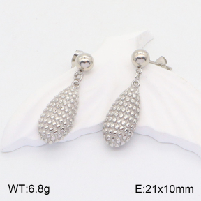 2E2004465vbll-434  Stainless Steel Earrings