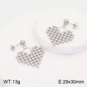 2E2004467bbml-434  Stainless Steel Earrings