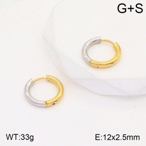 2E2004470aakl-434  Stainless Steel Earrings