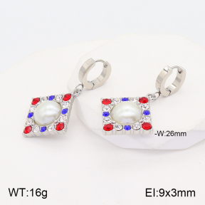 2E3002613bbov-434  Stainless Steel Earrings