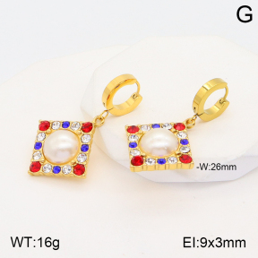 2E3002614abol-434  Stainless Steel Earrings