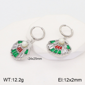 2E3002617bvpl-434  Stainless Steel Earrings