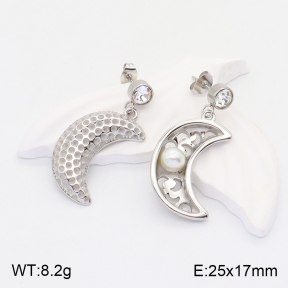 2E3002619bbml-434  Stainless Steel Earrings