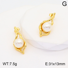 2E3002624vbnl-434  Stainless Steel Earrings