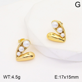 2E3002625vbnb-434  Stainless Steel Earrings