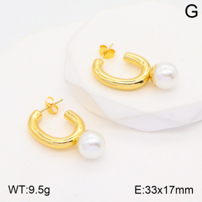 2E3002628vbmb-434  Stainless Steel Earrings