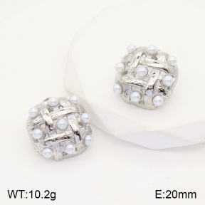 2E3002629abol-436  Stainless Steel Earrings