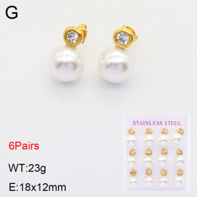 2E3002635vihb-436  Stainless Steel Earrings