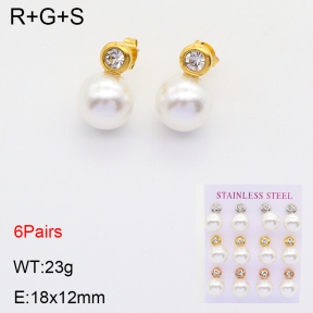 2E3002637vihb-436  Stainless Steel Earrings