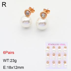 2E3002638aija-436  Stainless Steel Earrings