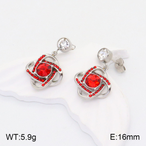 2E4003614vbnl-434  Stainless Steel Earrings