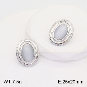 2E4003616vbll-434  Stainless Steel Earrings