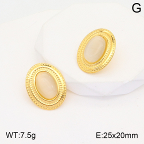 2E4003617vbmb-434  Stainless Steel Earrings