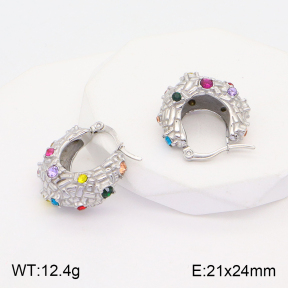 2E4003619vbpb-434  Stainless Steel Earrings