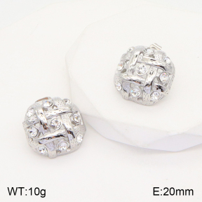 2E4003620abol-436  Stainless Steel Earrings