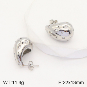 2E4003622vhha-436  Stainless Steel Earrings