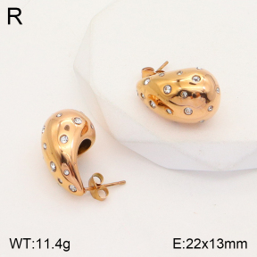 2E4003624bhia-436  Stainless Steel Earrings