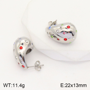 2E4003625vhhl-436  Stainless Steel Earrings