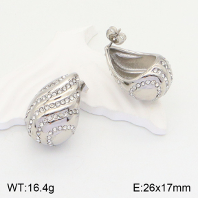 2E4003628vhnl-436  Stainless Steel Earrings