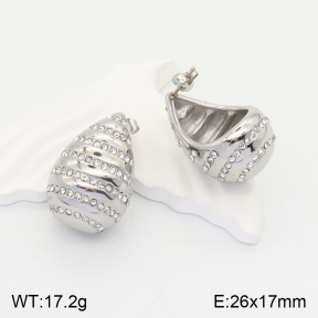 2E4003631vhnl-436  Stainless Steel Earrings