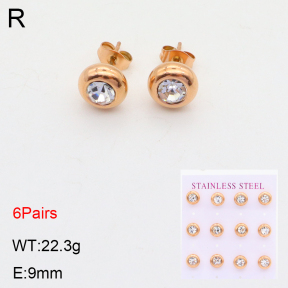 2E4003634vhkb-436  Stainless Steel Earrings