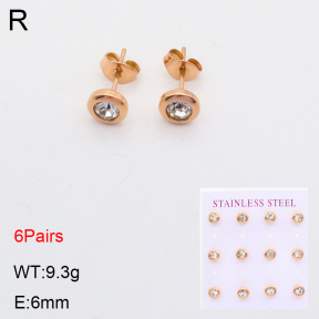 2E4003637ahjb-436  Stainless Steel Earrings